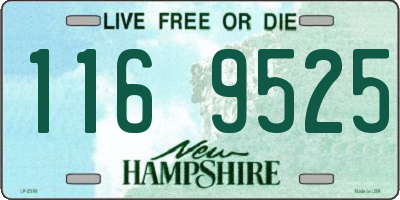 NH license plate 1169525