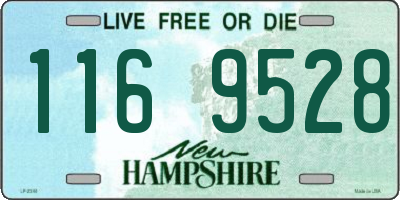 NH license plate 1169528