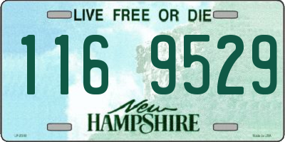 NH license plate 1169529