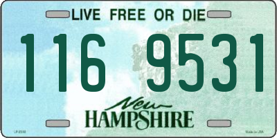 NH license plate 1169531