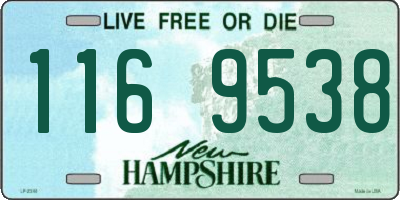 NH license plate 1169538