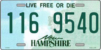NH license plate 1169540