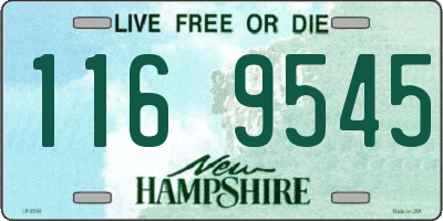 NH license plate 1169545