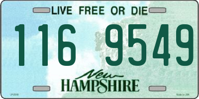 NH license plate 1169549