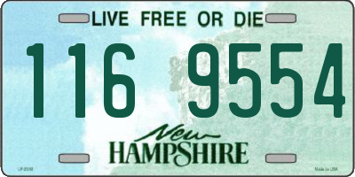 NH license plate 1169554