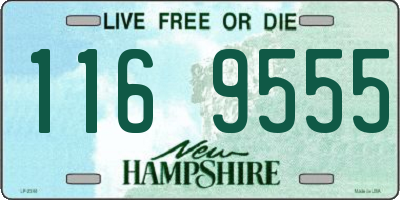 NH license plate 1169555