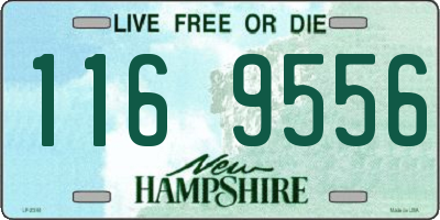 NH license plate 1169556