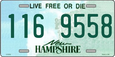 NH license plate 1169558