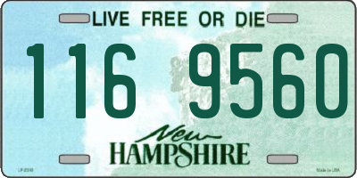 NH license plate 1169560