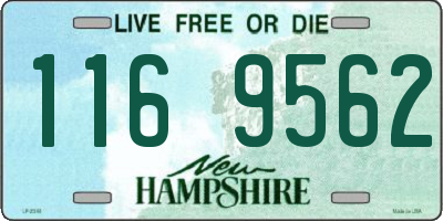 NH license plate 1169562