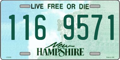 NH license plate 1169571