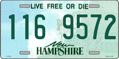 NH license plate 1169572