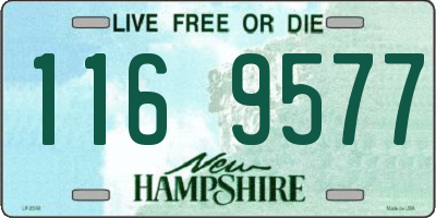 NH license plate 1169577