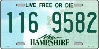NH license plate 1169582