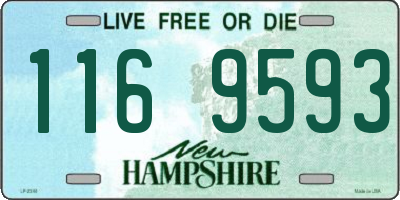 NH license plate 1169593