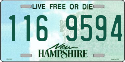 NH license plate 1169594