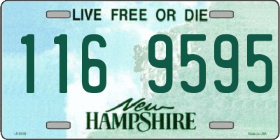 NH license plate 1169595