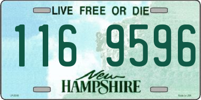 NH license plate 1169596