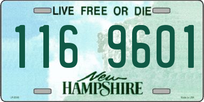NH license plate 1169601