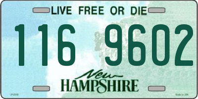 NH license plate 1169602