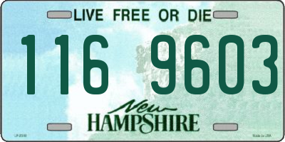 NH license plate 1169603