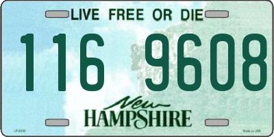 NH license plate 1169608