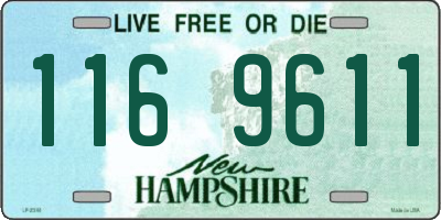 NH license plate 1169611