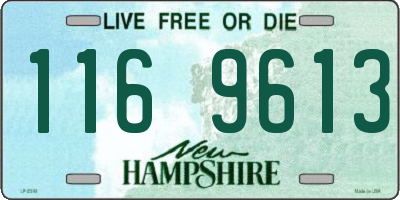 NH license plate 1169613