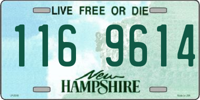 NH license plate 1169614