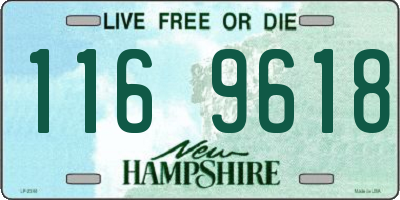 NH license plate 1169618