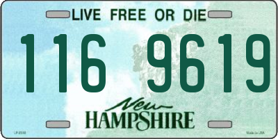 NH license plate 1169619
