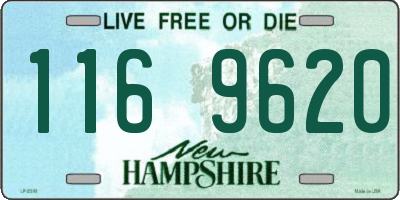 NH license plate 1169620