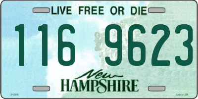 NH license plate 1169623