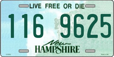 NH license plate 1169625