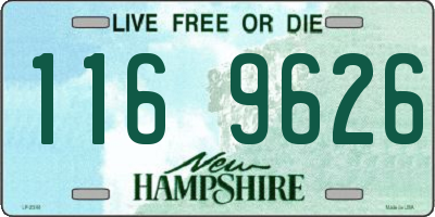 NH license plate 1169626