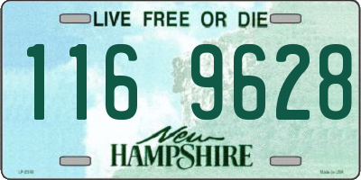 NH license plate 1169628