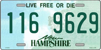 NH license plate 1169629