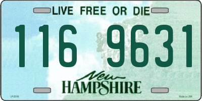 NH license plate 1169631