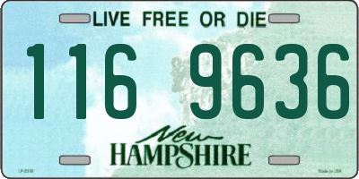 NH license plate 1169636