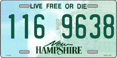 NH license plate 1169638