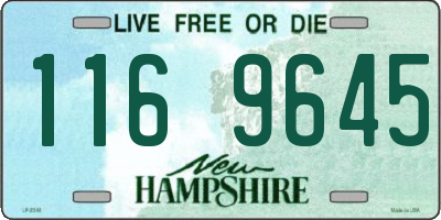 NH license plate 1169645