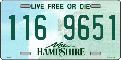 NH license plate 1169651