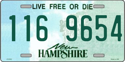 NH license plate 1169654