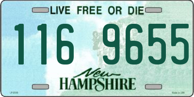 NH license plate 1169655
