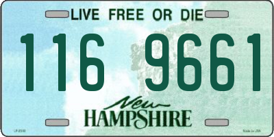 NH license plate 1169661