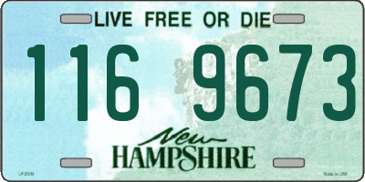 NH license plate 1169673