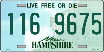 NH license plate 1169675
