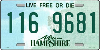 NH license plate 1169681