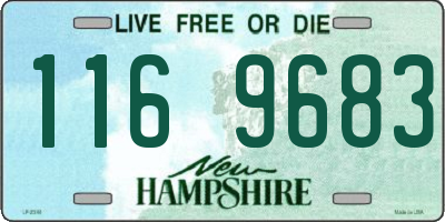 NH license plate 1169683