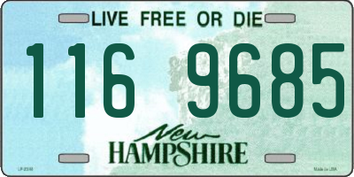 NH license plate 1169685